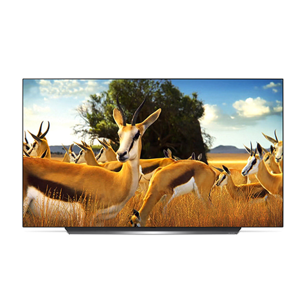 [비에스] LG 65인치 OLED TV 벽걸이형 OLED65C9C / 의무사용기간 48개월 / 등록비 면제 - 렌탈플래너